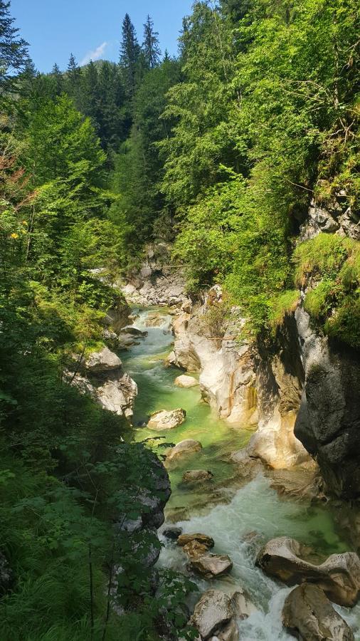 Alpenchalet Almrose Auffach Luaran gambar