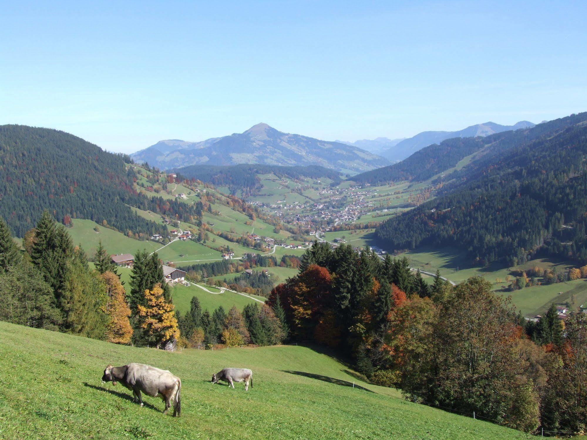 Alpenchalet Almrose Auffach Luaran gambar